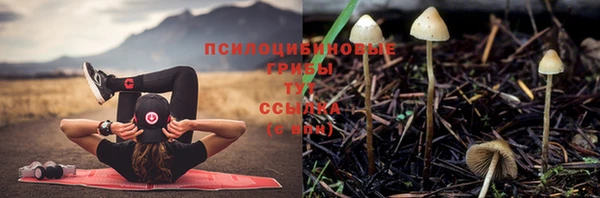 PSILOCYBIN Кулебаки