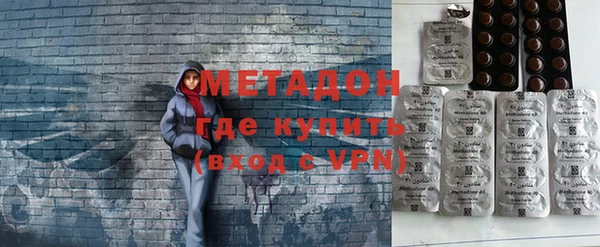 прущие грибы Ладушкин