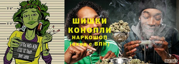 прущие грибы Ладушкин