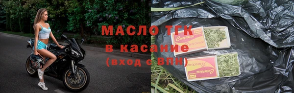 прущие грибы Ладушкин