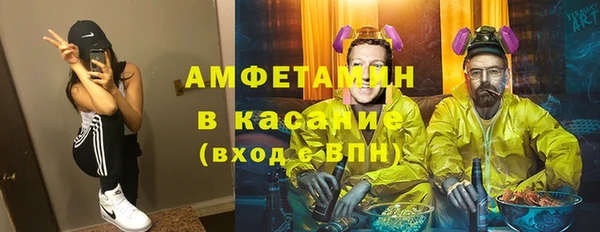 прущие грибы Ладушкин