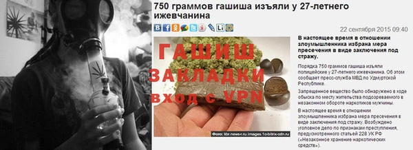 прущие грибы Ладушкин