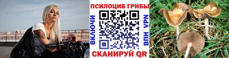 Псилоцибиновые грибы MAGIC MUSHROOMS Купить Балахна